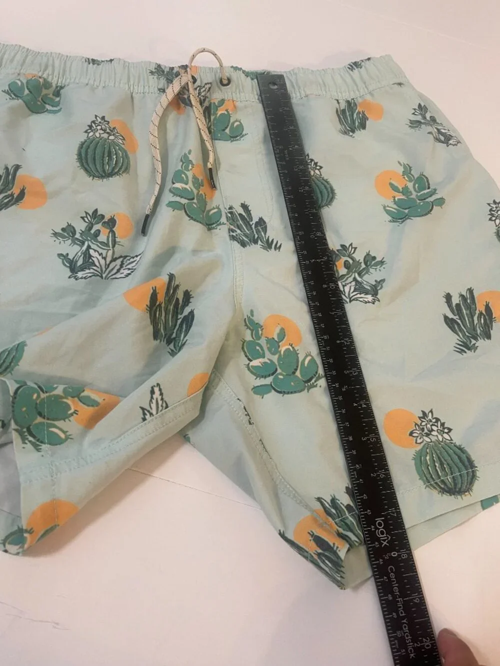 Public Access XL Cactus Print Swim Trunks Mint Green Beach Shorts